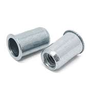 3/8-16 (.030-.165) Steel Small Flange Smooth Body Rivet Nut Zinc Clear