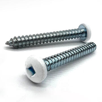 #8x3/4" Pan Head Square Drive Type AB Sheet Metal Screw White Painted Head Zinc